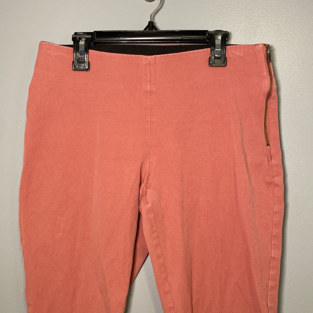 A New Day Rose Colored Stretchy Pull-on Slim Trousers Size 4 - Picture 2 of 8